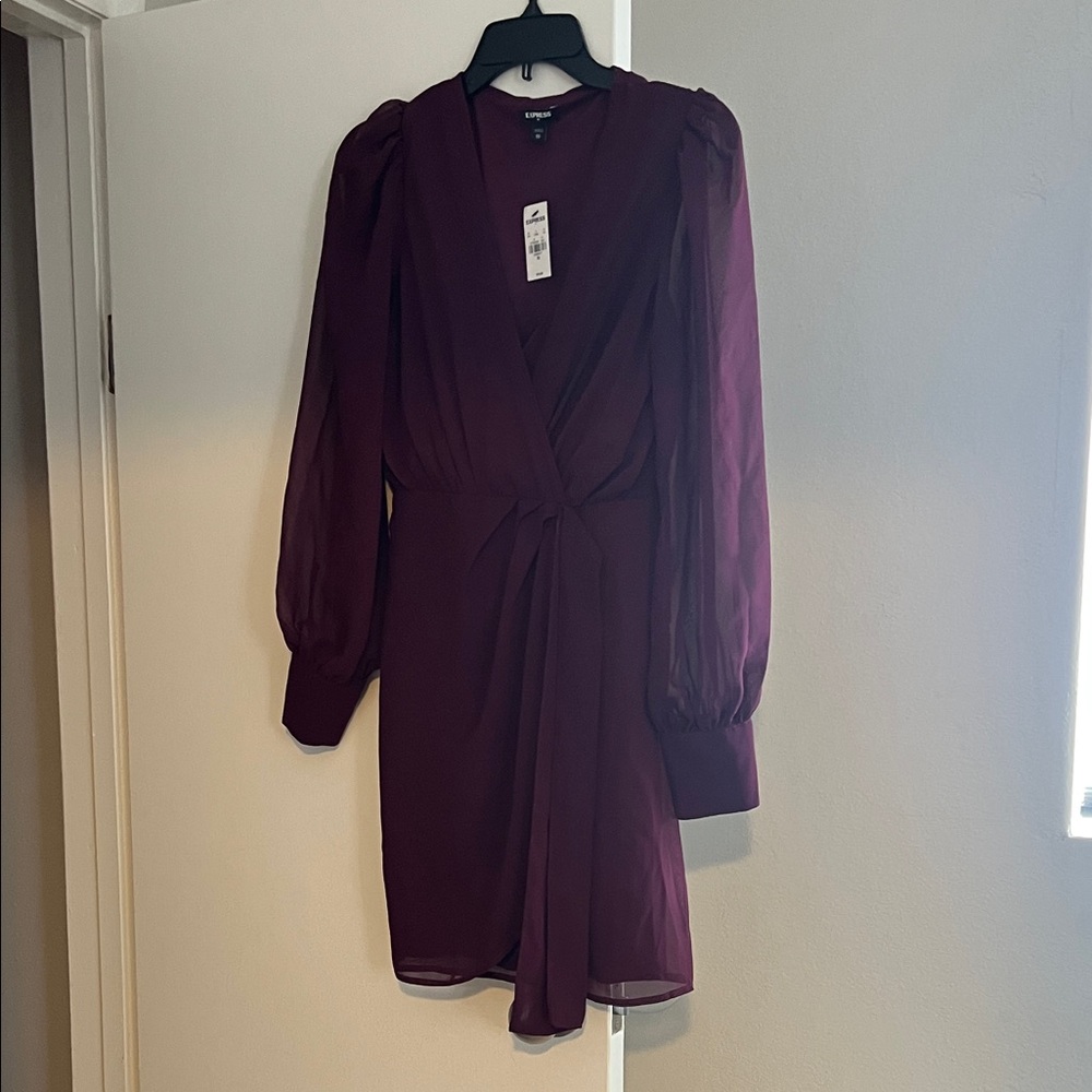 Express Plum Long Sleeve Dress